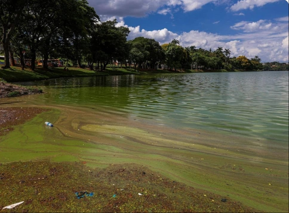 Moradores da Pampulha se revoltam com morte por afogamento, na lagoa, de suspeito de furto, em festa no Parque Ecológico: "tragédia anunciada" Contratos visavam o desassoreamento da lagoa da Pampulha, que sofre impacto do derramamento de esgoto